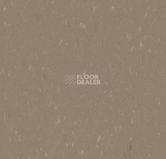 Линолеум Forbo Marmoleum Decibel on Order 363135 otter фото 1 | FLOORDEALER